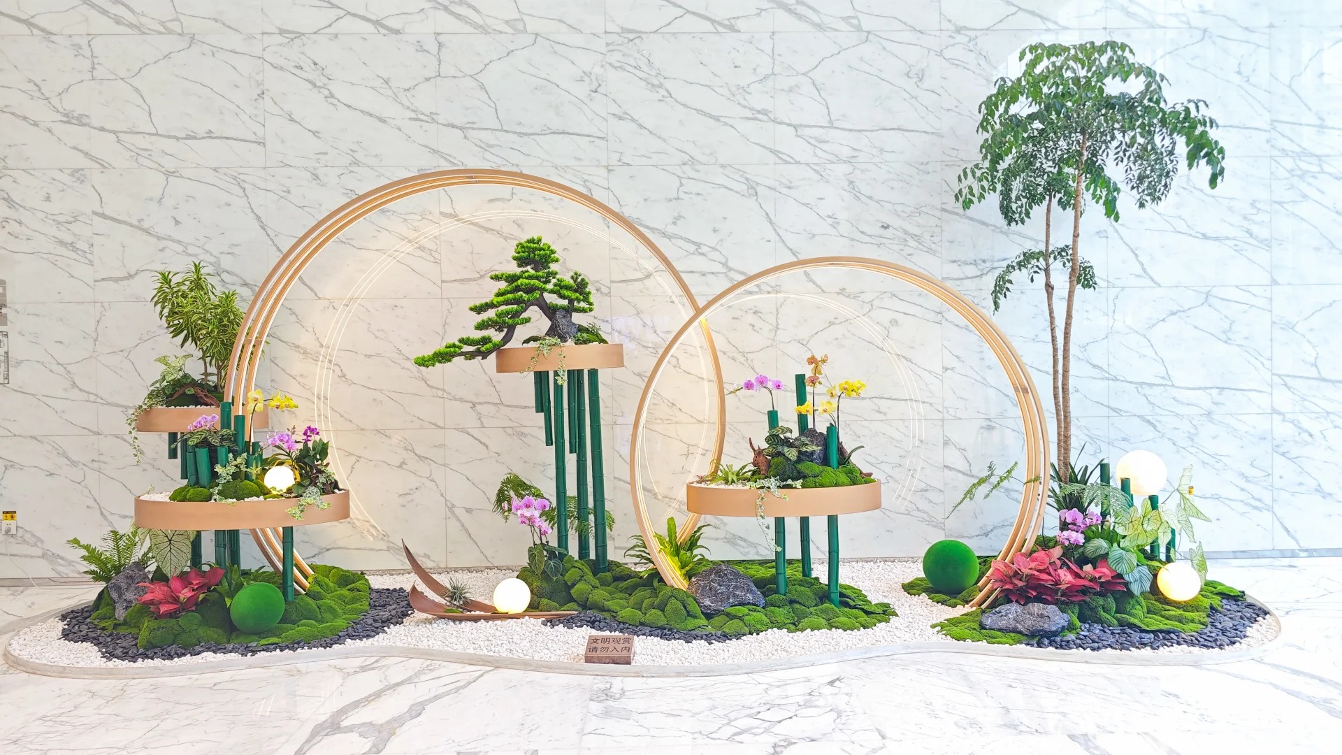 了解镇海植物租赁方案，为空间增添一抹绿